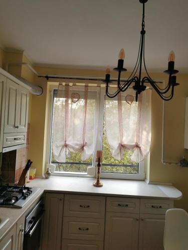 ห้องครัว, Chic Apartment in บราอิลา