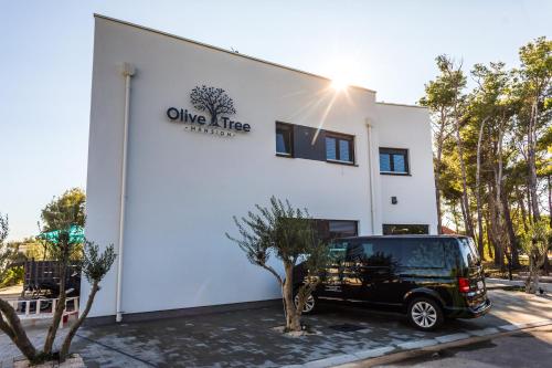 Olive Tree mansion