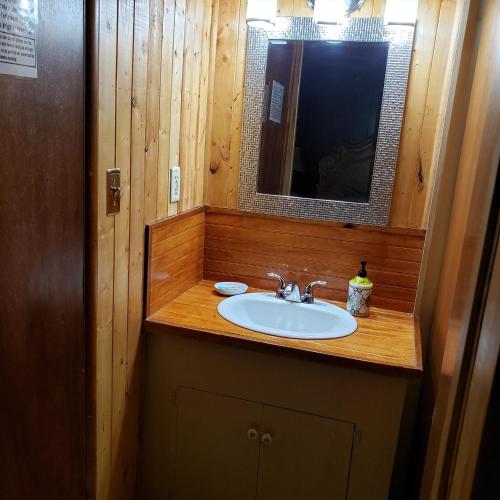 Grey Squirrel Resort Room Type - King Studio
