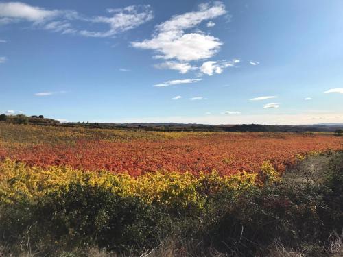  La Morada del Pintor EVI00178 in Laguardia