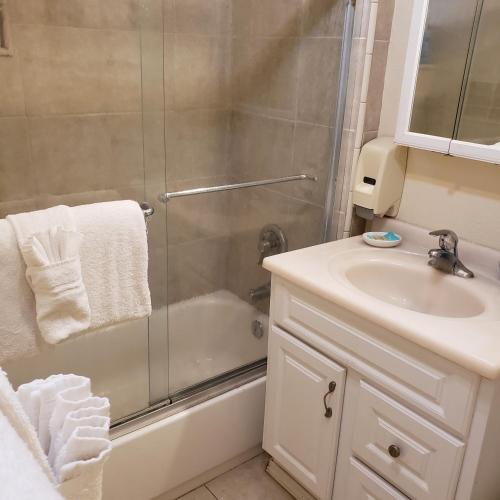 Grey Squirrel Resort in Big Bear Lake, USA
