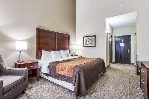 Comfort Inn & Suites Love Field-Dallas Market Center