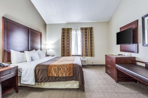 Comfort Inn & Suites Love Field-Dallas Market Center