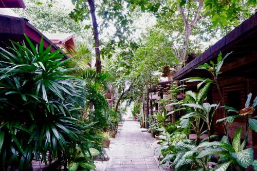 Samed sand sea resort