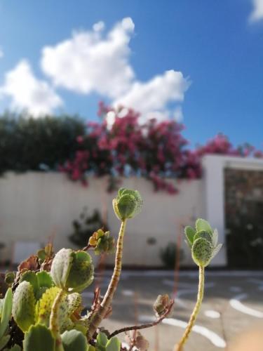 Mouras Resort