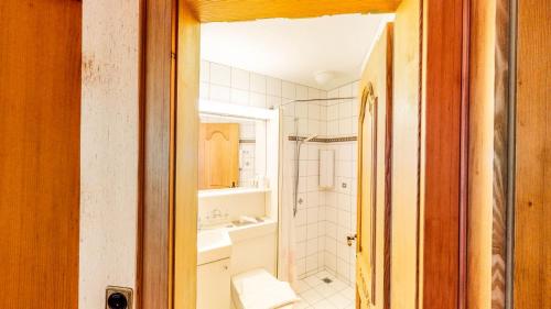 Schweizerhof - image 10