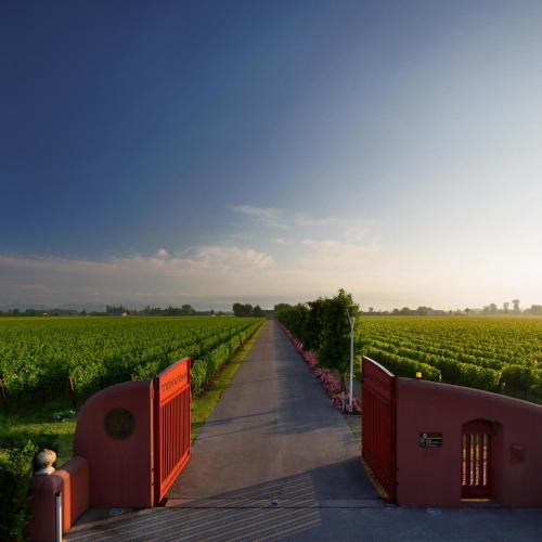 Accommodation in Biancade