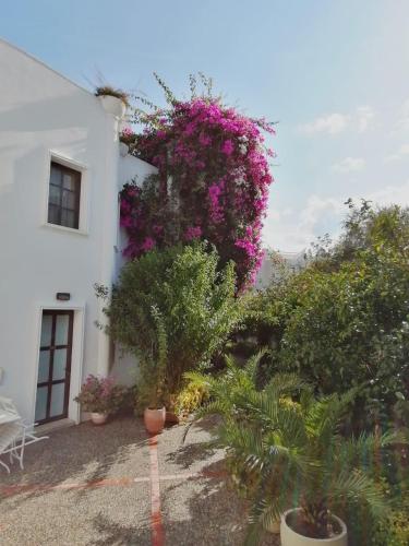 Hotels Image