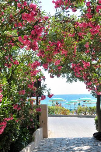 Hotel Villa Rodriguez Hotel de charme Naregno