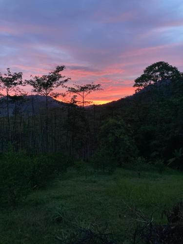 Khao Sok Hill Top Resort