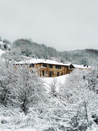 Aqua Montis Resort & Spa