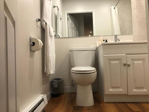 North East Downtown Boston 30 Day Rentals