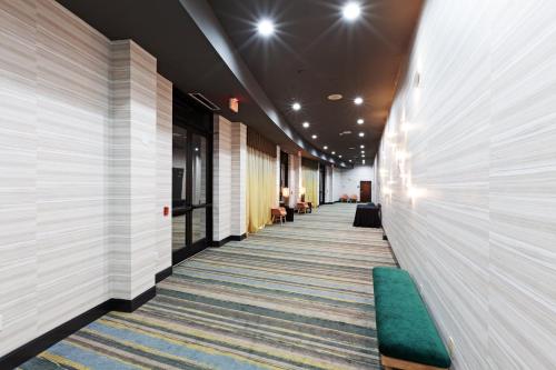 Meeting room / ballrooms, Holiday Inn and Suites McKinney - Allen By IHG in Mckinney