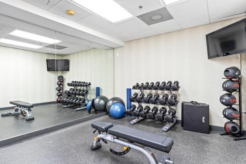 Holiday Inn - St. Petersburg West an IHG Hotel - image 12