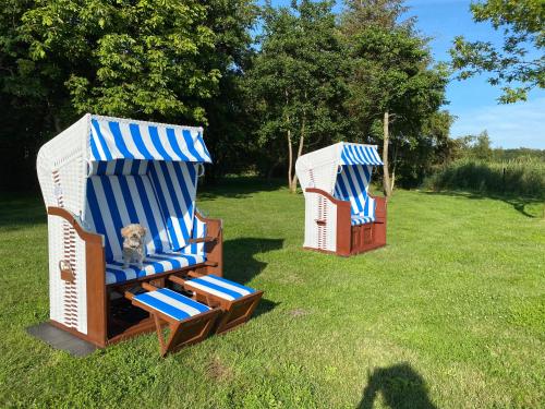 Garden, Haus Hugo in Zingst