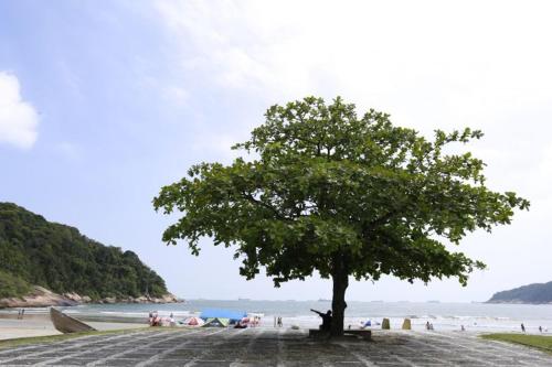BLUE HOUSE GUARUJA