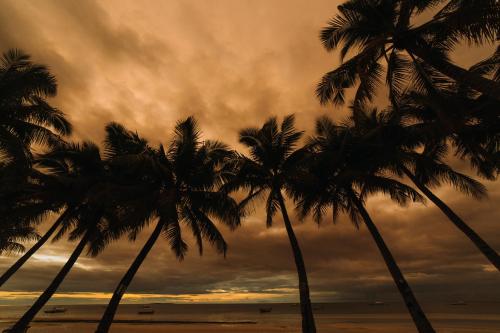 Bohol Beach Club