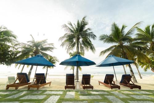 Bohol Beach Club Resort near Tarsier Botanika