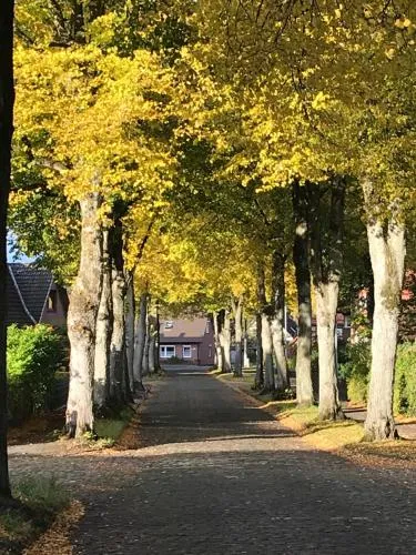 Ferienwohnung Am Holzfeld in Schneverdingen, Deutschland