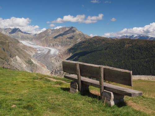 Vieux Valais VB - image 13