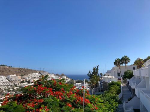 Carolina Apt 6 Gran Canaria