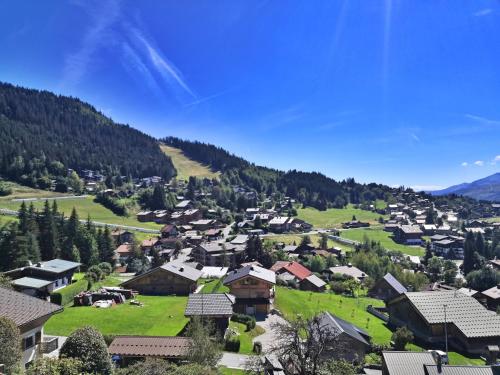 FLE585 - Chalet 6 personnes proche centre et pistes des Carroz gîte à louer Les Carroz-d'Arâches