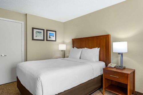 Comfort Inn & Suites St. Pete - Clearwater International Airport