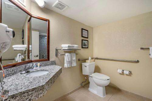 Comfort Inn & Suites St. Pete - Clearwater International Airport