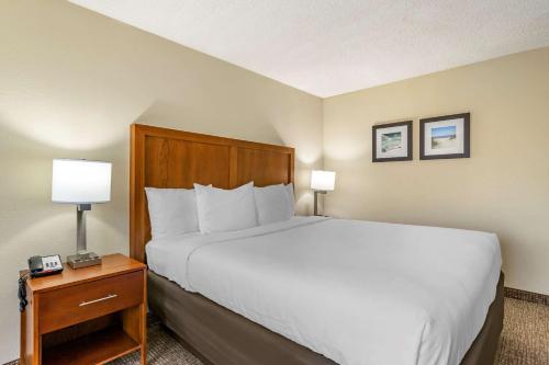 Comfort Inn & Suites St. Pete - Clearwater International Airport