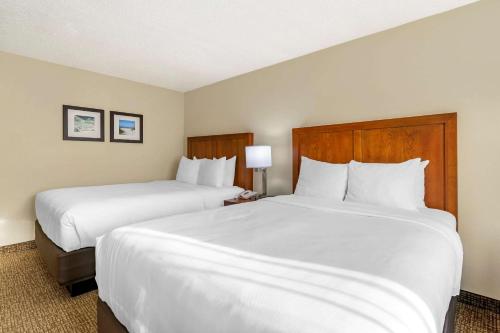 Comfort Inn & Suites St. Pete - Clearwater International Airport