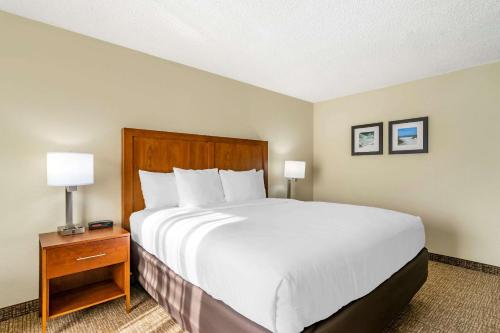 Comfort Inn & Suites St. Pete - Clearwater International Airport