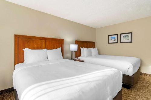 Comfort Inn & Suites St. Pete - Clearwater International Airport