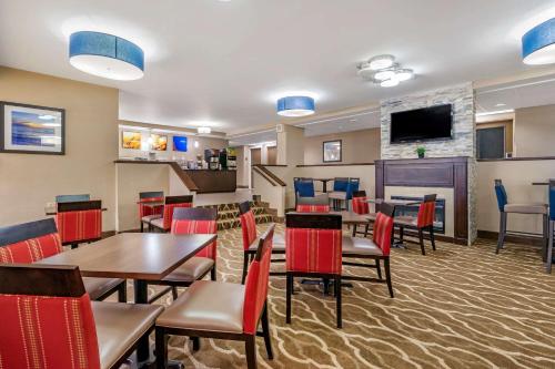 Comfort Inn & Suites St. Pete - Clearwater International Airport