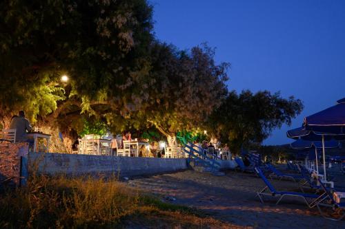 Beach, Alianthos Beach Hotel in Plakias