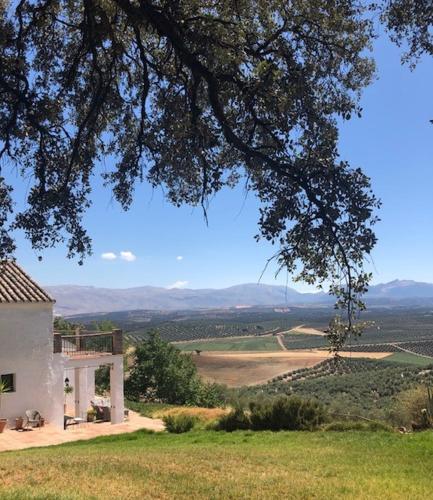  Finca El Almendrillo in Iznájar
