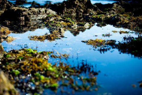 Hotel Arce - main image