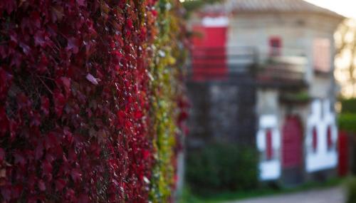 Hotel Arce - image 7