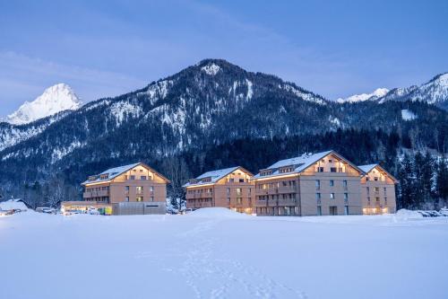 ALPRIMA Aparthotel Hinterstoder - Accommodation