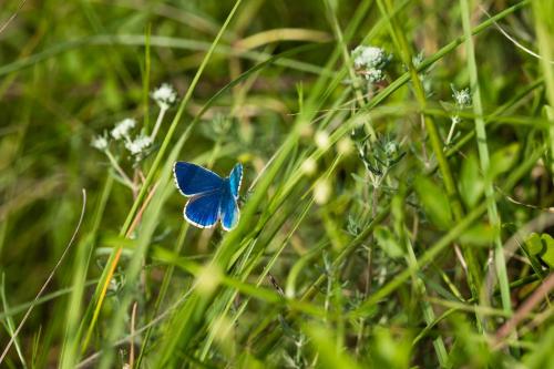 Lino delle Fate Eco Resort - image 6