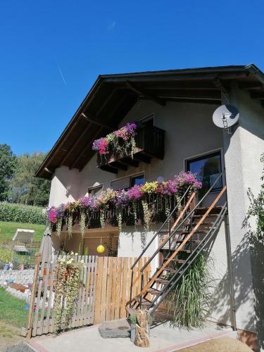 Ferienwohnung Egelkraut - Apartment - Schwarzenbach an der Saale