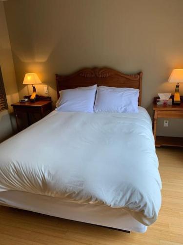 One bedroom condo in Piedmont view on Sommet St-Sauveur