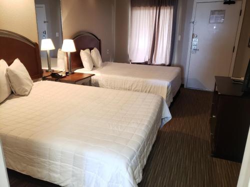 Oceanfront Double Queen 1 BR Suite Caravelle 1137 - main image