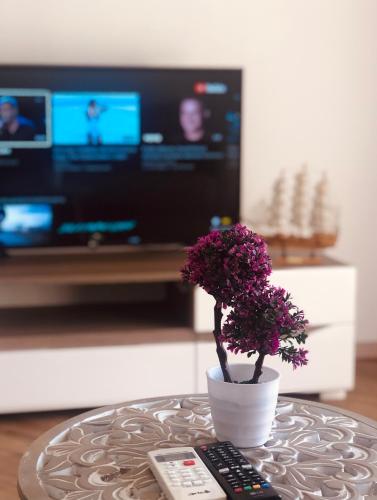 Studio with Sea View image 4