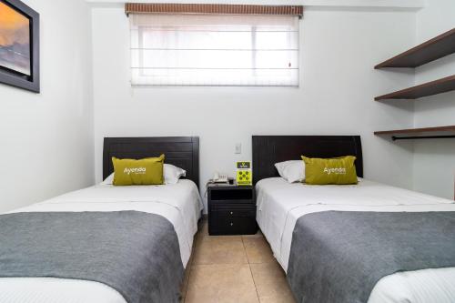 Ayenda 1087 La Estacion photo 4