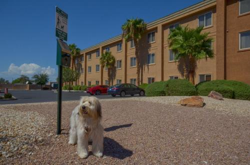 Holiday Inn Express Las Vegas-Nellis