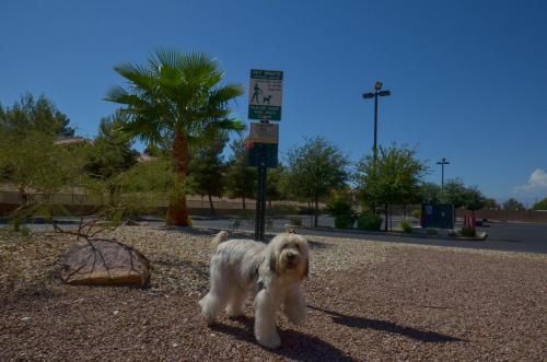 Holiday Inn Express Las Vegas-Nellis