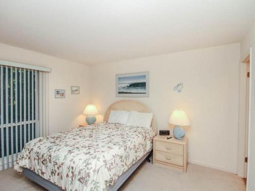 Sea Colony Evergreen II - image 4