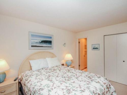 Sea Colony Evergreen II - image 8