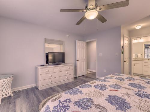 Sea Colony Sanddollar - image 7