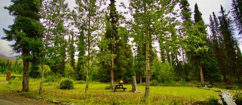 Carlo Creek Cabins